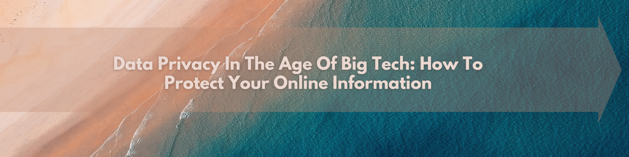 Data Privacy in the Age of Big Tech: How to protect your online information